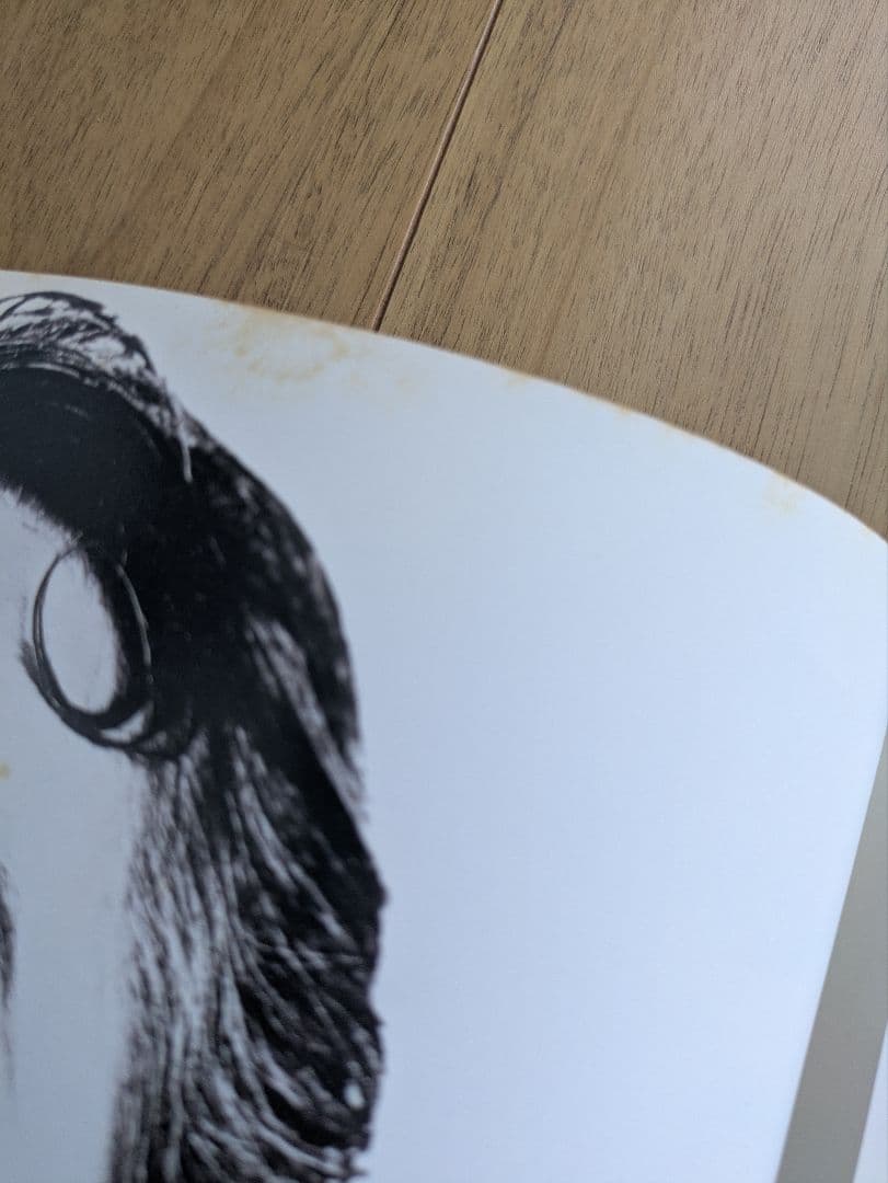 セルジュ・ゲンスブール　写真集　GAINSBOURG ET CAETERA