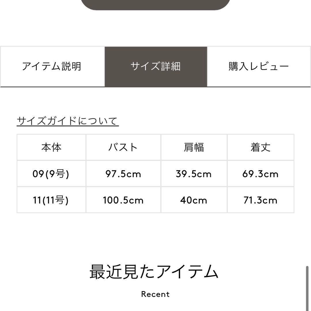 2025 イネド　TRストレッチカラーレスジレ　グレー.