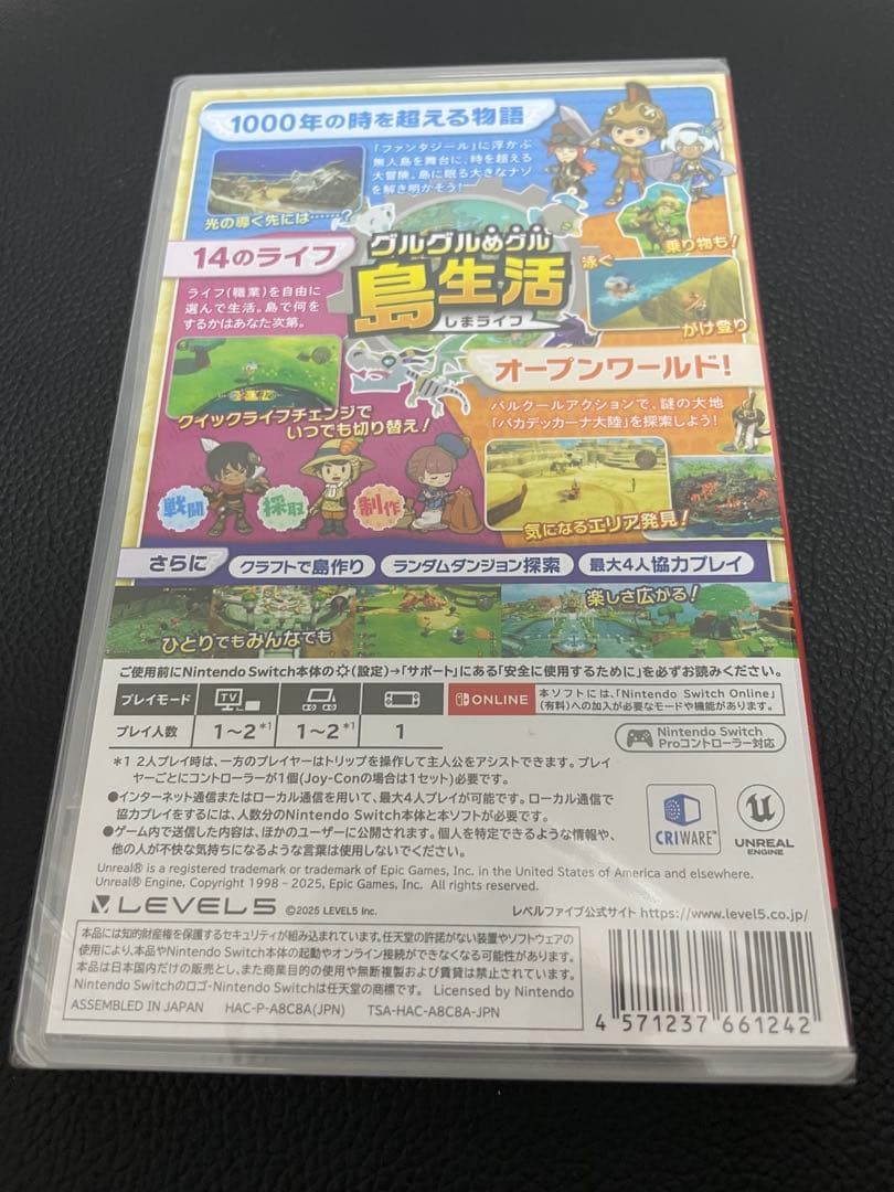 早期購入特典付　ファンタジーライフ グルグルの竜と時を盗む少女