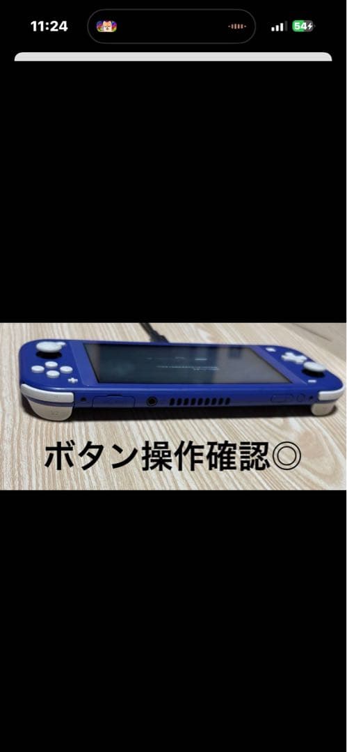 2021年　動作確認済み◎Nintendo Switch light 本体のみ