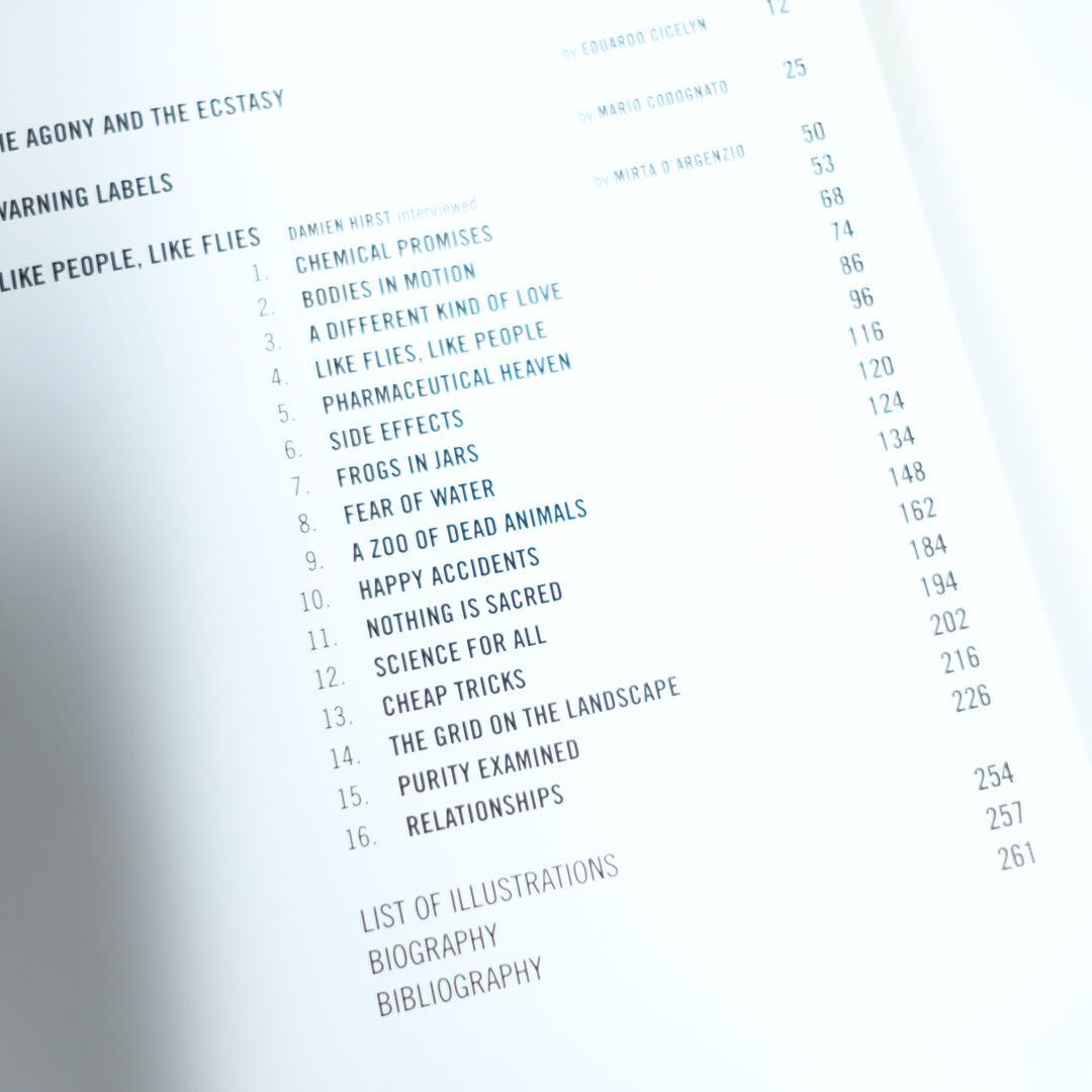 DAMIEN HIRST ダミアン・ハースト　洋書　写真集　作品集　初版