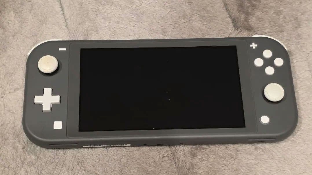 Switchライト グレー