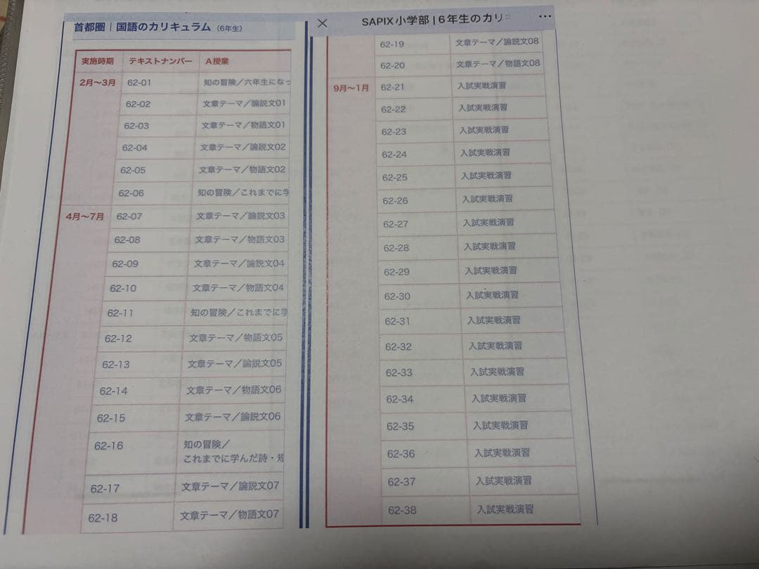 サピックス　小学6年生　国語　一年分　まとめ売り