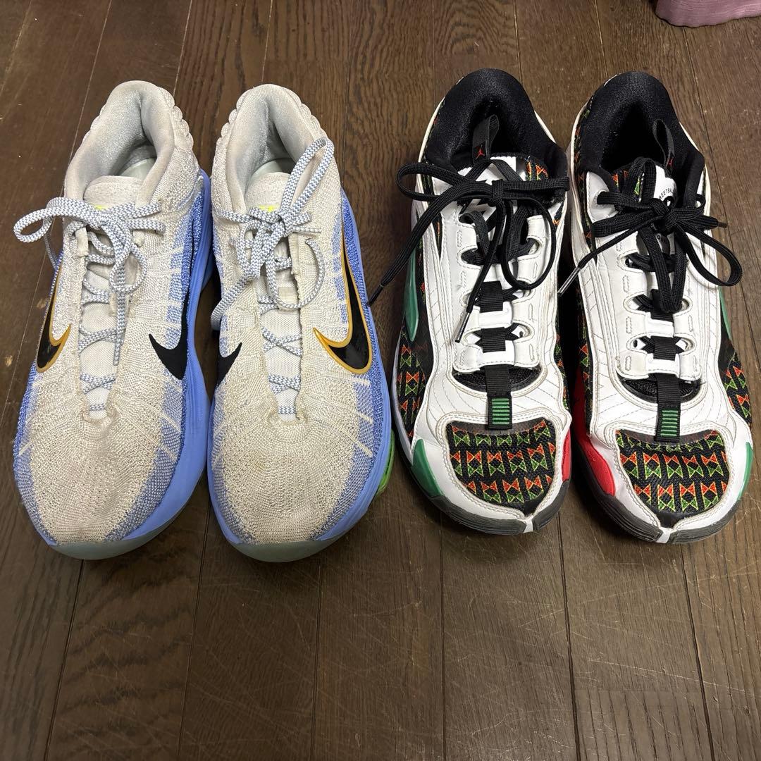 バッシュNIKE 30cm GTハッスルとルカⅡ 2足セット