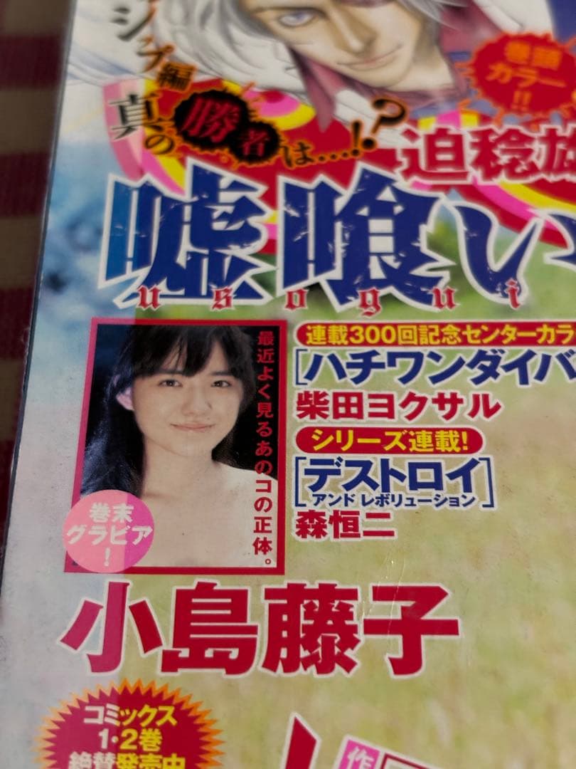 ヤングジャンプ 2013年1号 小島藤子
