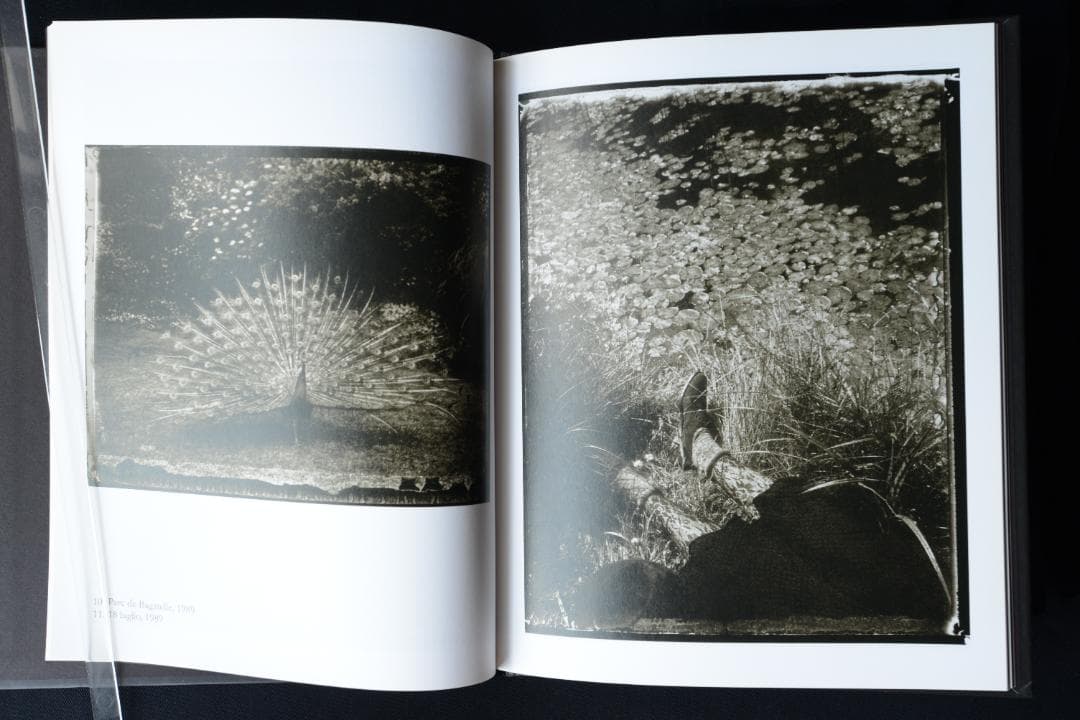 【Sarah moon：Alchimie】サラ ・ムーン