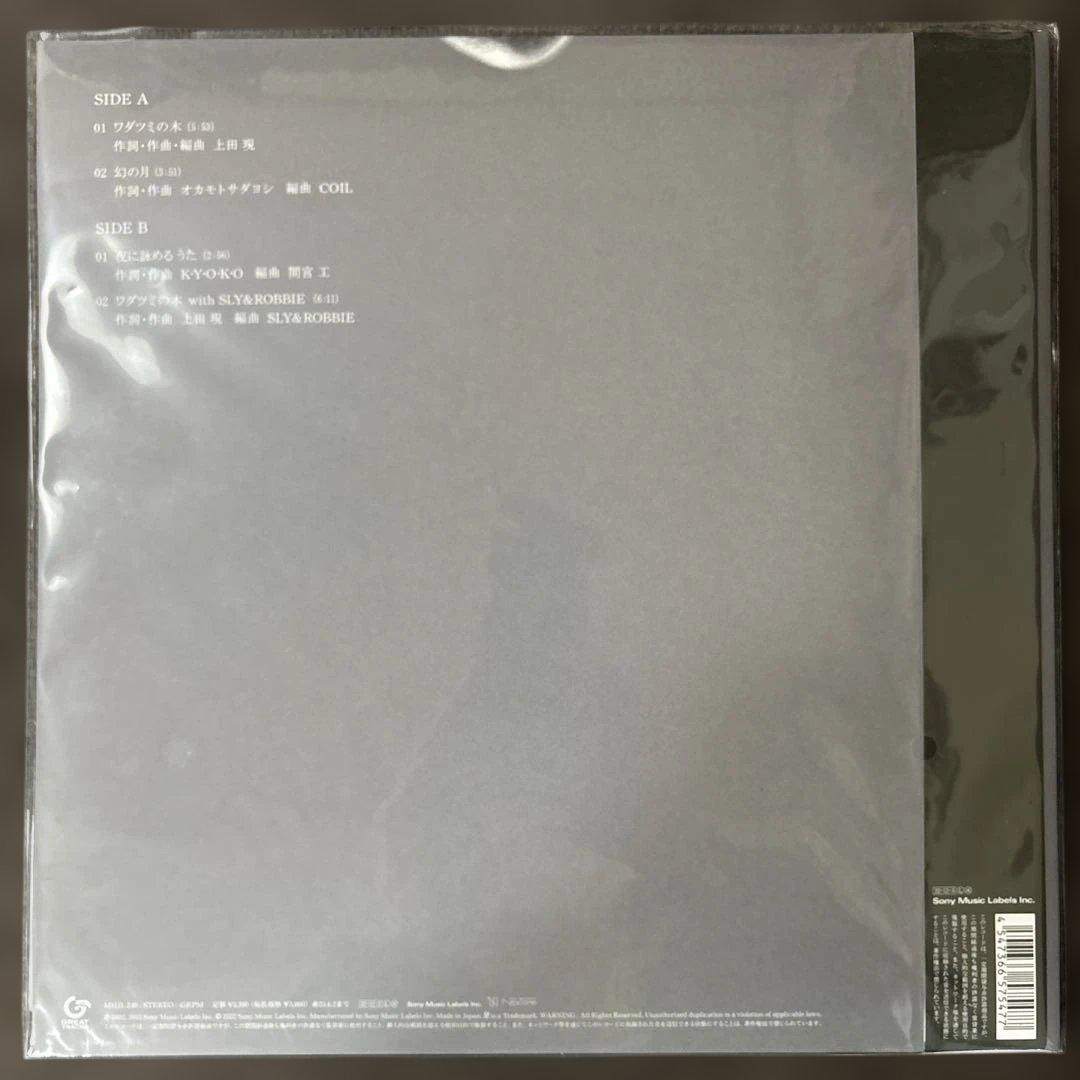 ⭐︎1st Press⭐︎ 元ちとせ /ワダツミの木　EP（美品）送料無料