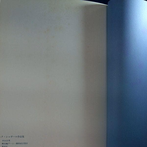マルク・シャガール作品集 リトグラフ他 画集
