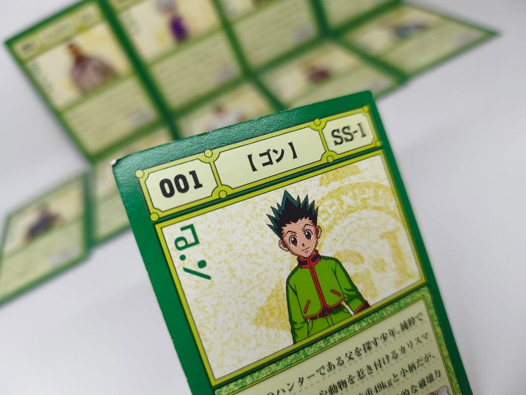HUNTER × HUNTER ハンターハンター DVD 24巻セット