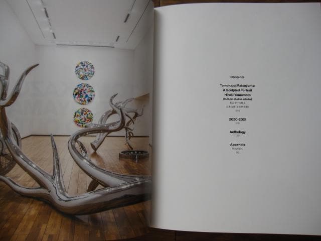 TOMOKAZU MATSUYAMA IN AND OUT　松山智一
