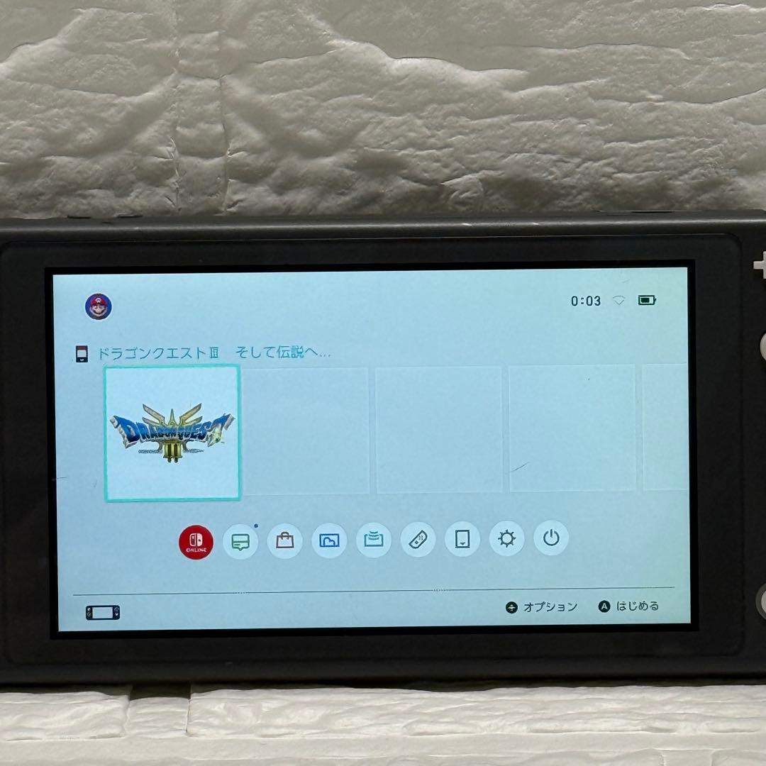 Nintendo Switch Lite グレー HDH-001 本体 充電器付