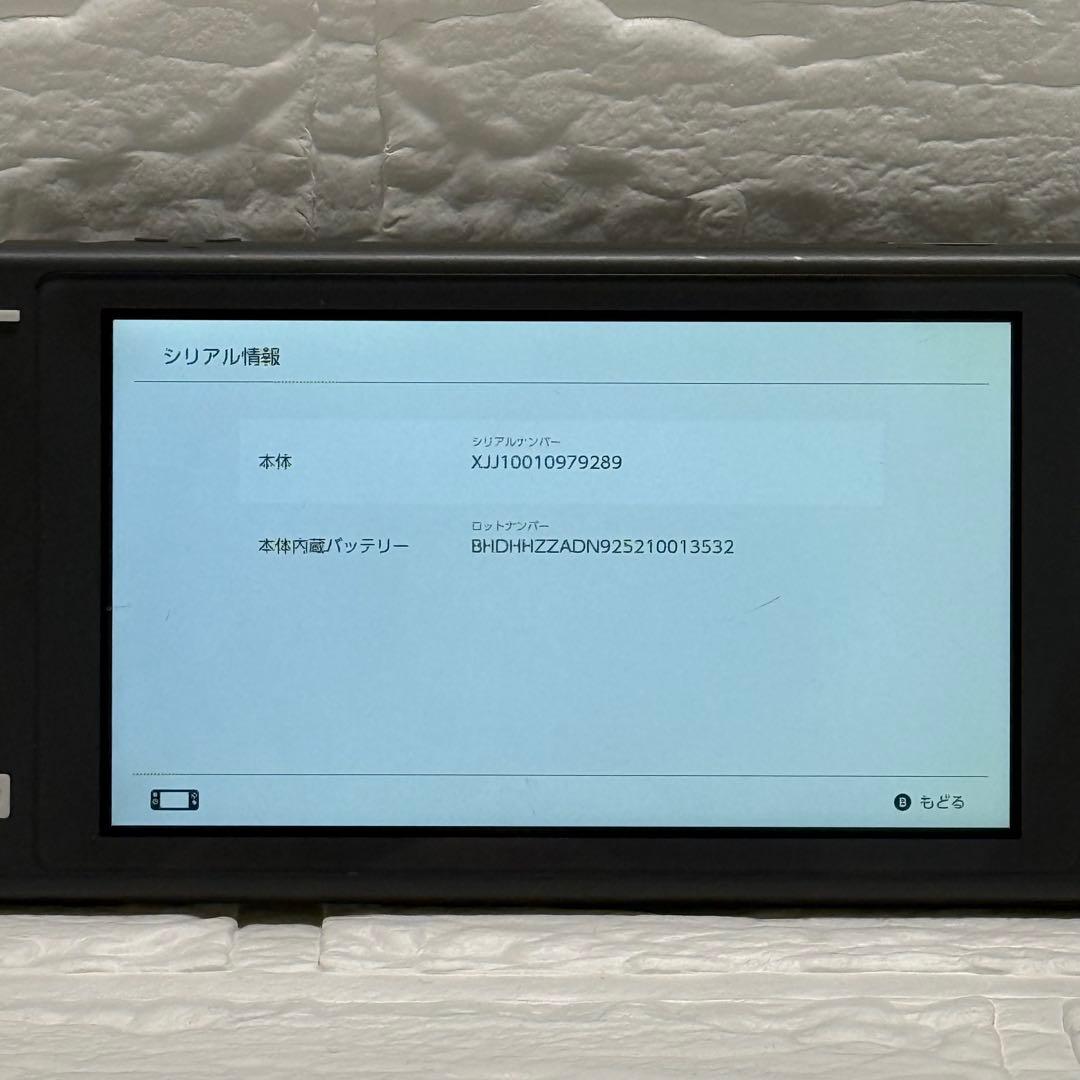 Nintendo Switch Lite グレー HDH-001 本体 充電器付