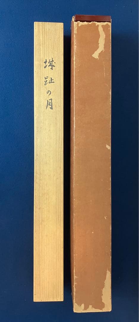 近藤浩一路【淀城跡の月】水墨画　紙本　掛軸　共箱