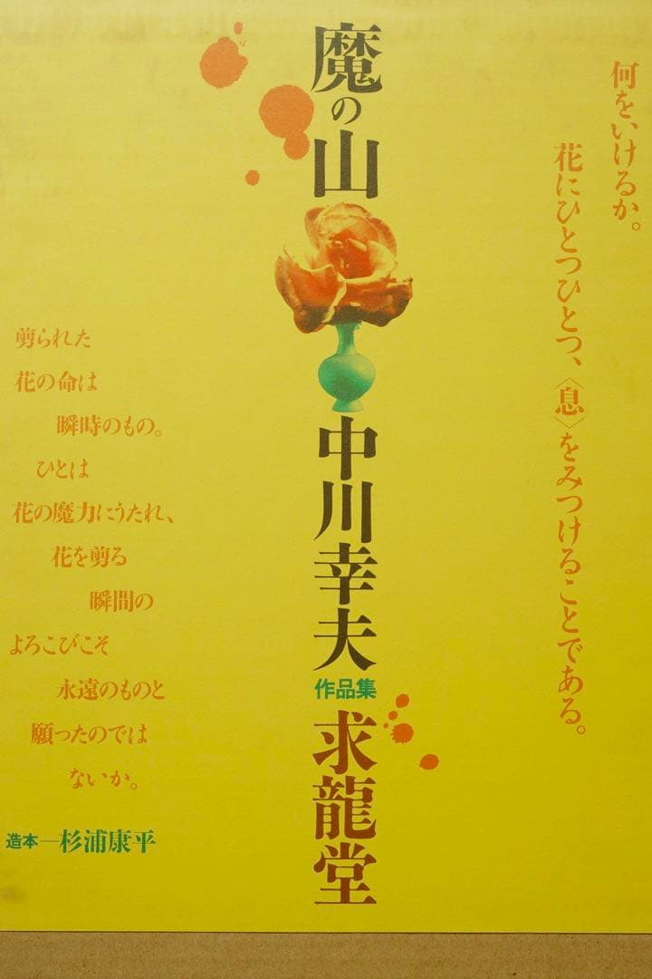 【美品】中川幸夫 作品集『魔の山』