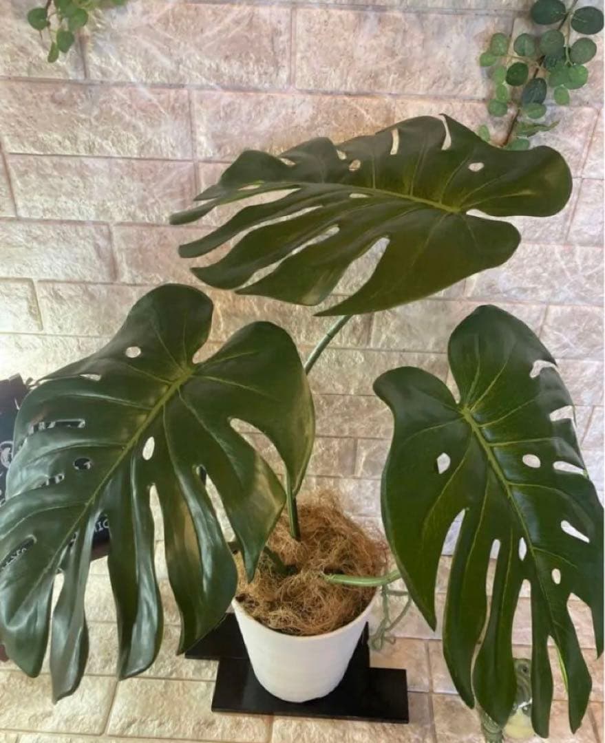 光触媒　人工観葉植物　ウォールグリーン　フェイクグリーン　モンステラＭ
