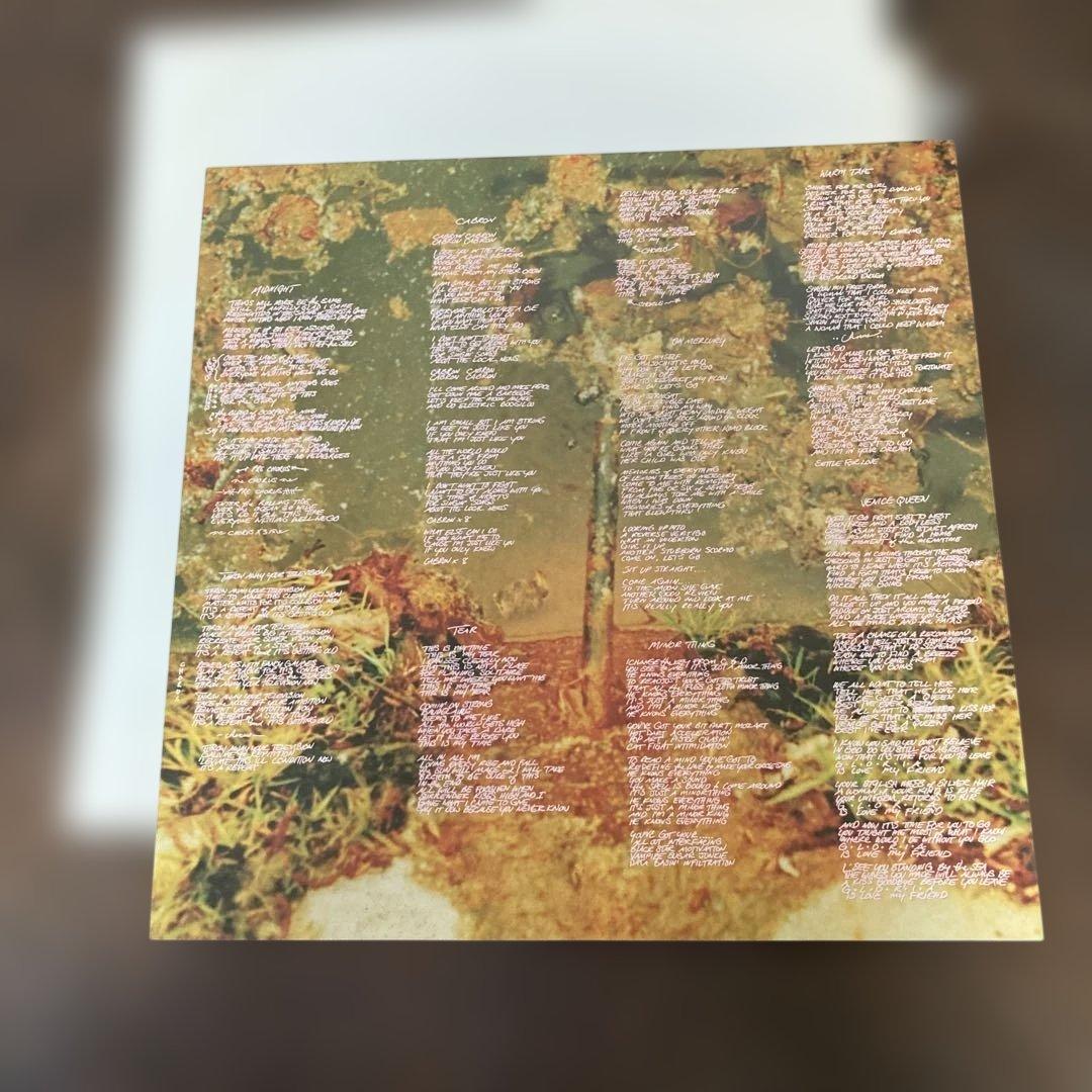 Red Hot Chili Peppers レコードセット　レッチリ