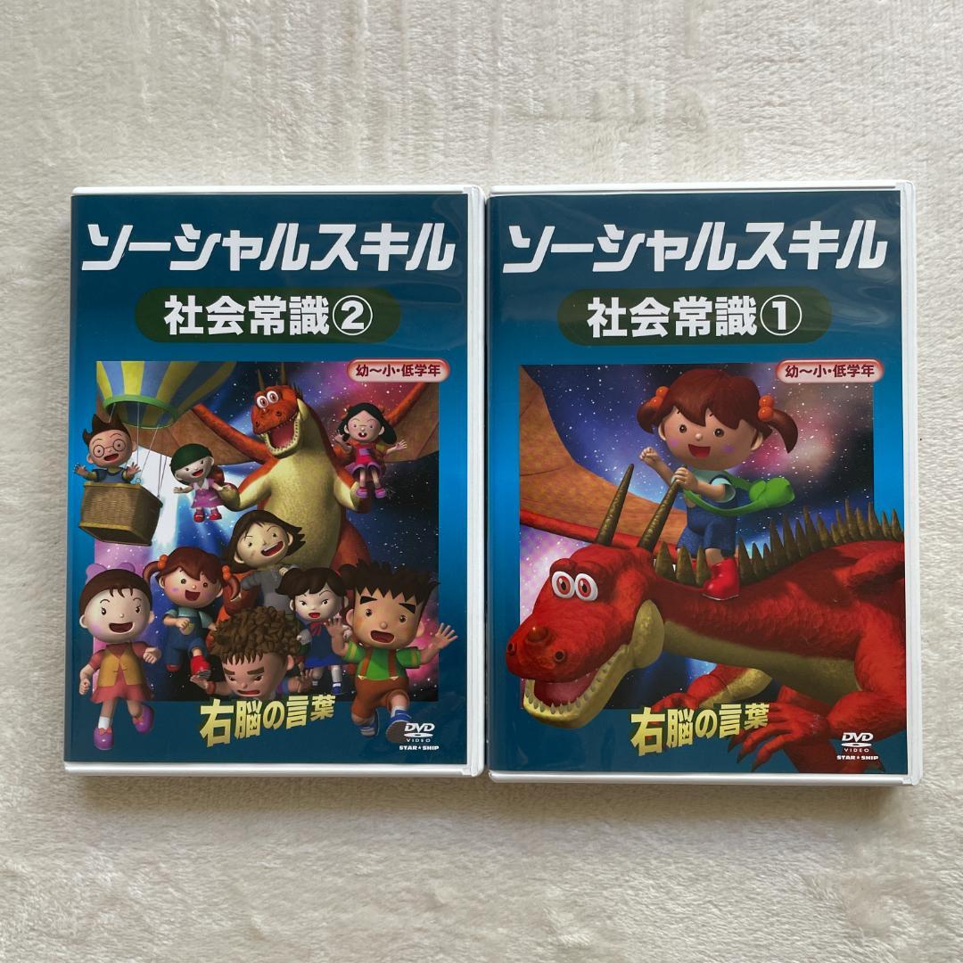 星みつる式 DVD 右脳の言葉 10枚セット ソーシャルスキル