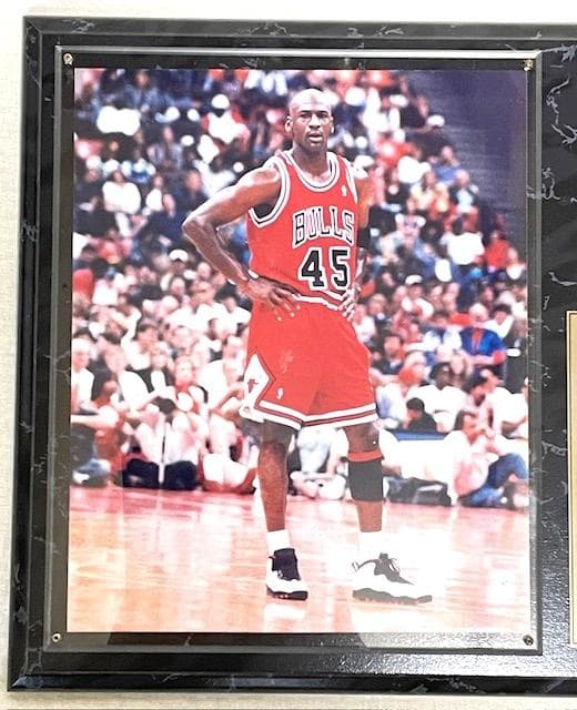 新品希少JORDAN No.45リミテッドフォト&カードプレート192/1995