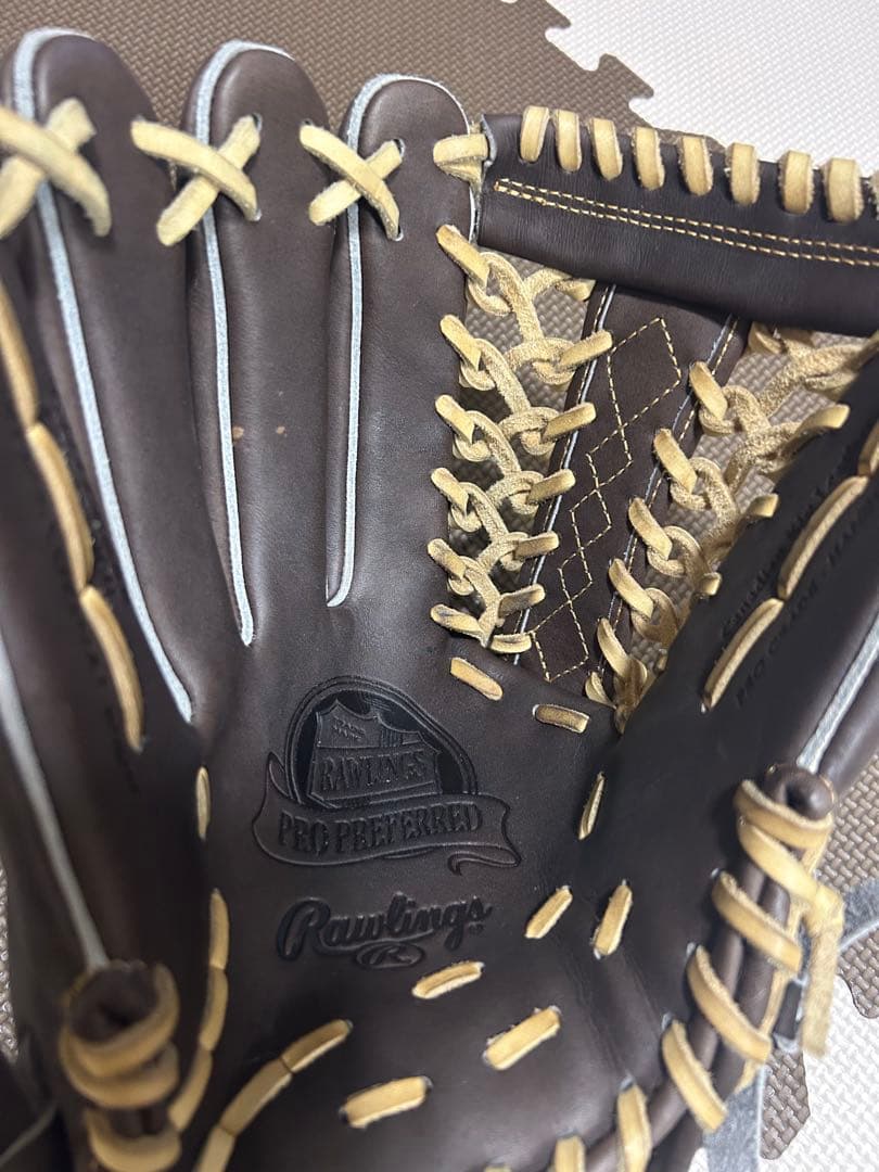 Rawlings 硬式グローブ 左投げ