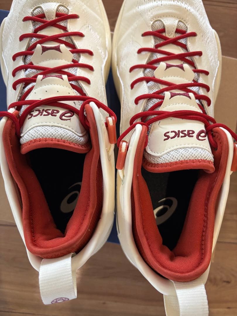 asics ノバサージロー2 31cm