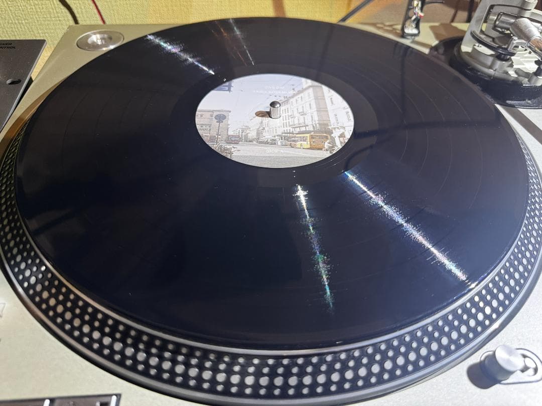 【180g重量盤レコードLP、アートワークスリーブ付】小瀬村晶 /ONE DAY
