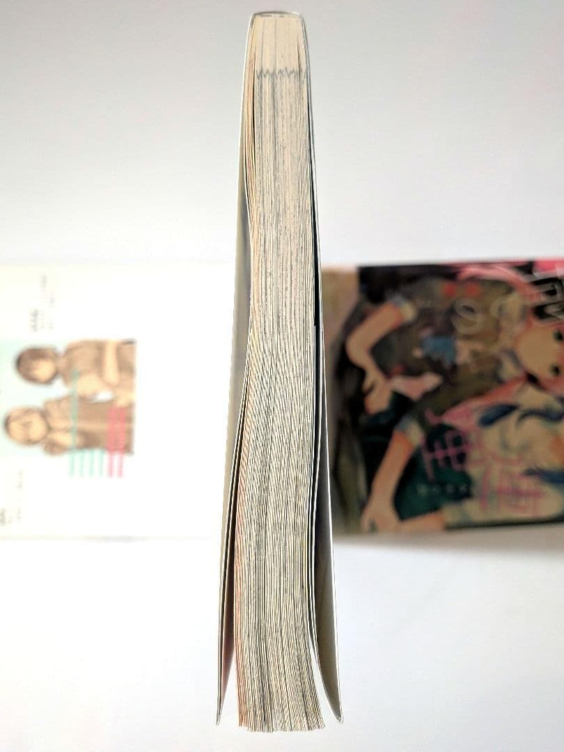 不揃いの連理 全10+1巻　+ 今日はカノジョがいないから 全6巻　17冊セット
