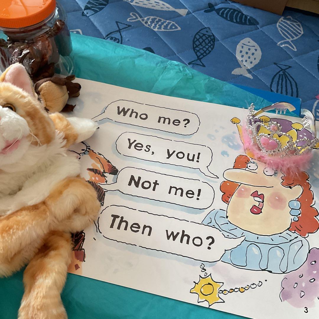 Who Took the Cookies …大型英語絵本とパペット