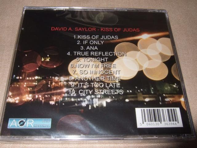 DAVID A SAYLOR,新品未開封,AOR,メロハー,AOR BLVD