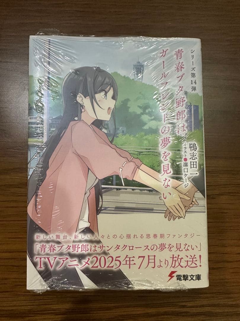 [未使用]青春ブタ野郎文庫15点セット