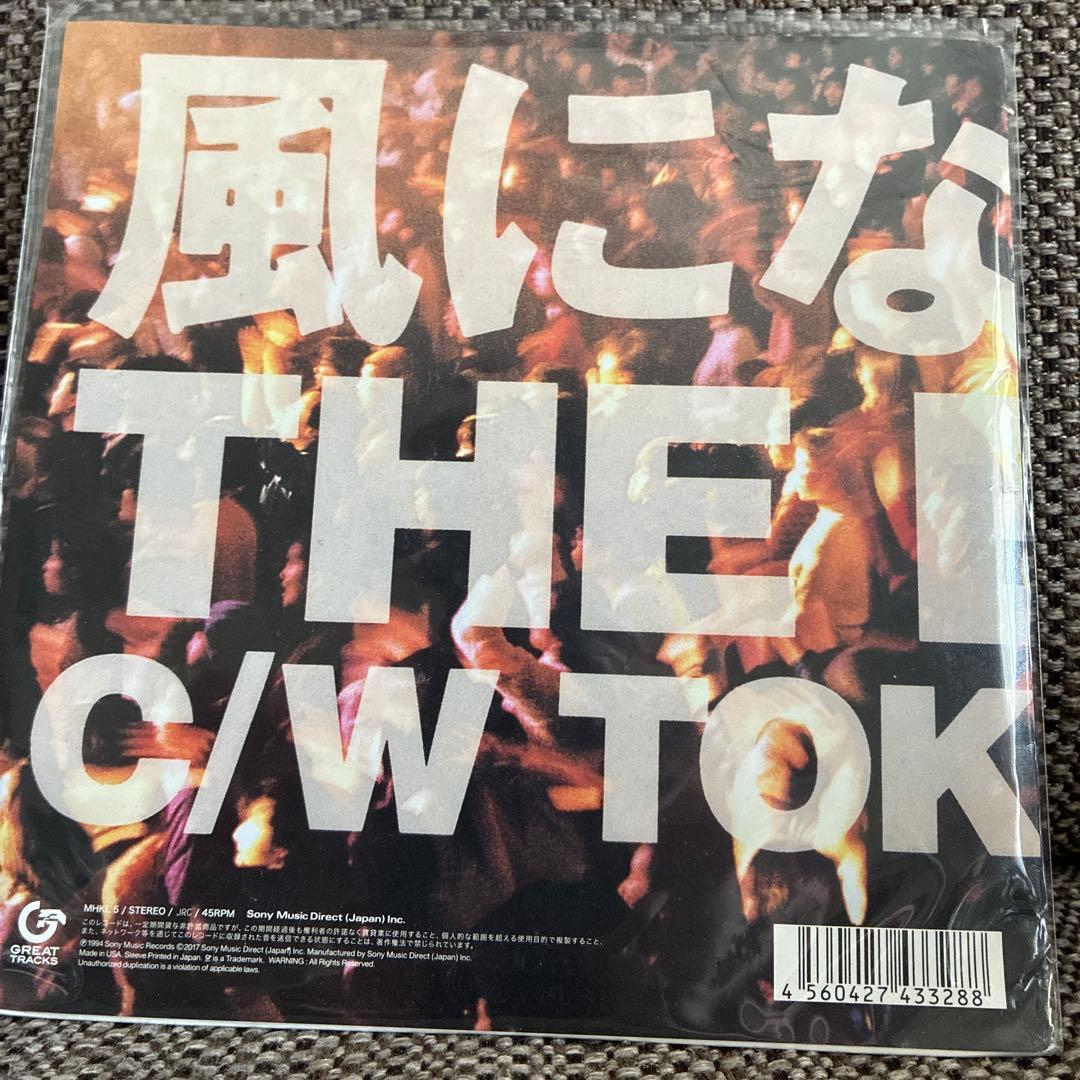 THE BOOM 風になりたい 7インチレコード