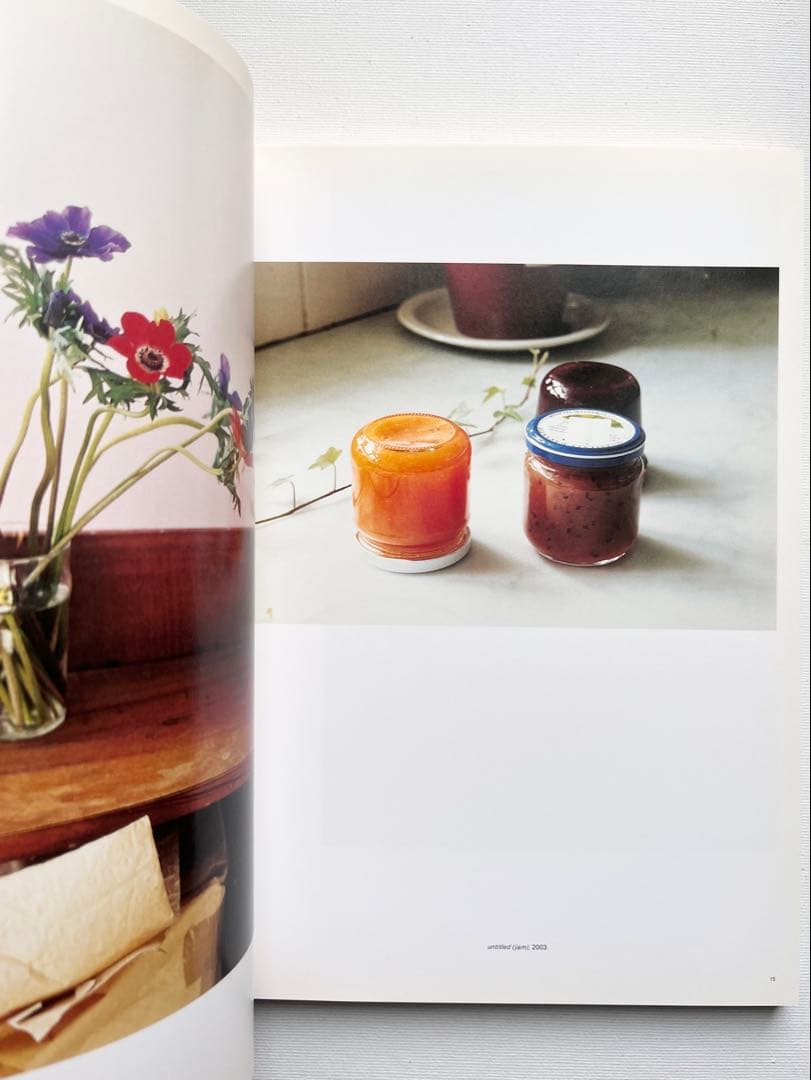 Wolfgang Tillmans: Freischwimmer ティルマンス