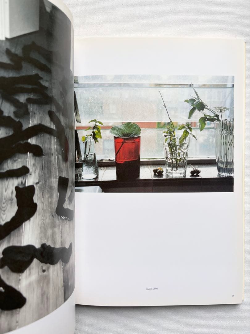 Wolfgang Tillmans: Freischwimmer ティルマンス