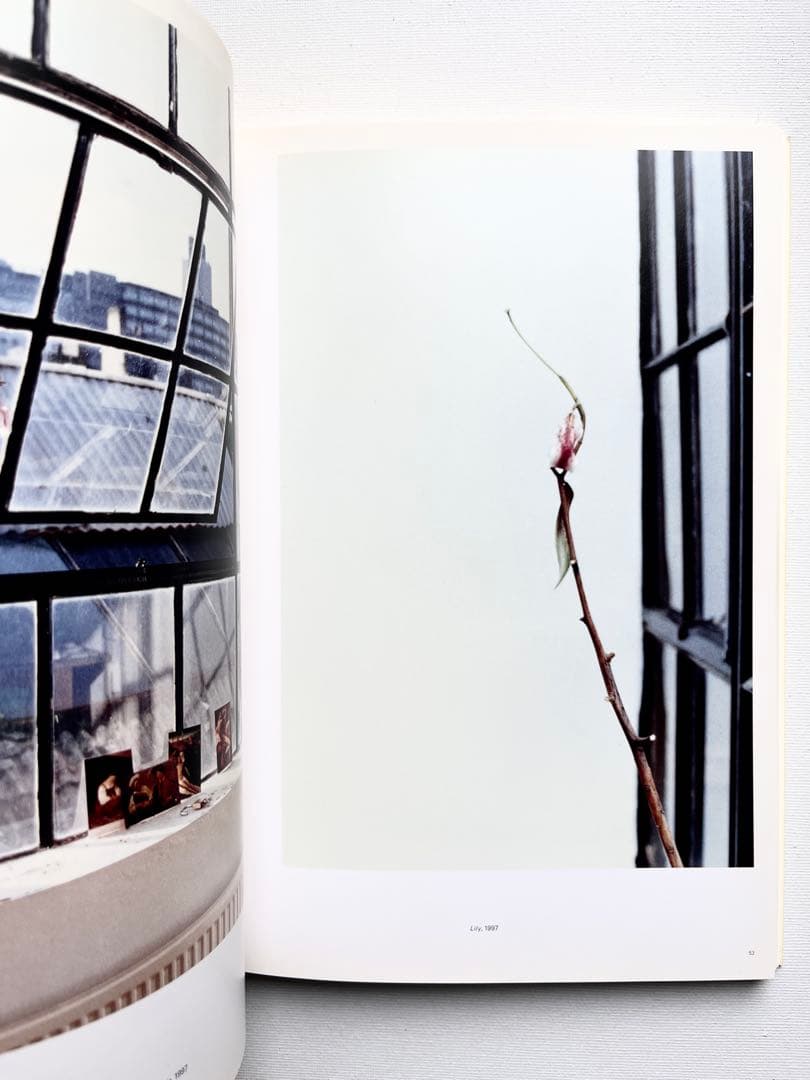 Wolfgang Tillmans: Freischwimmer ティルマンス