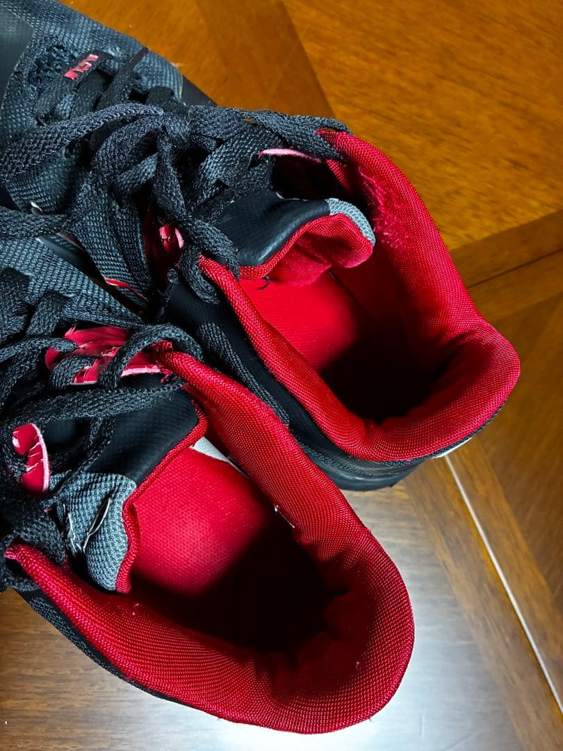 NIKE ナイキ　LeBron 9 Low Bred レブロン