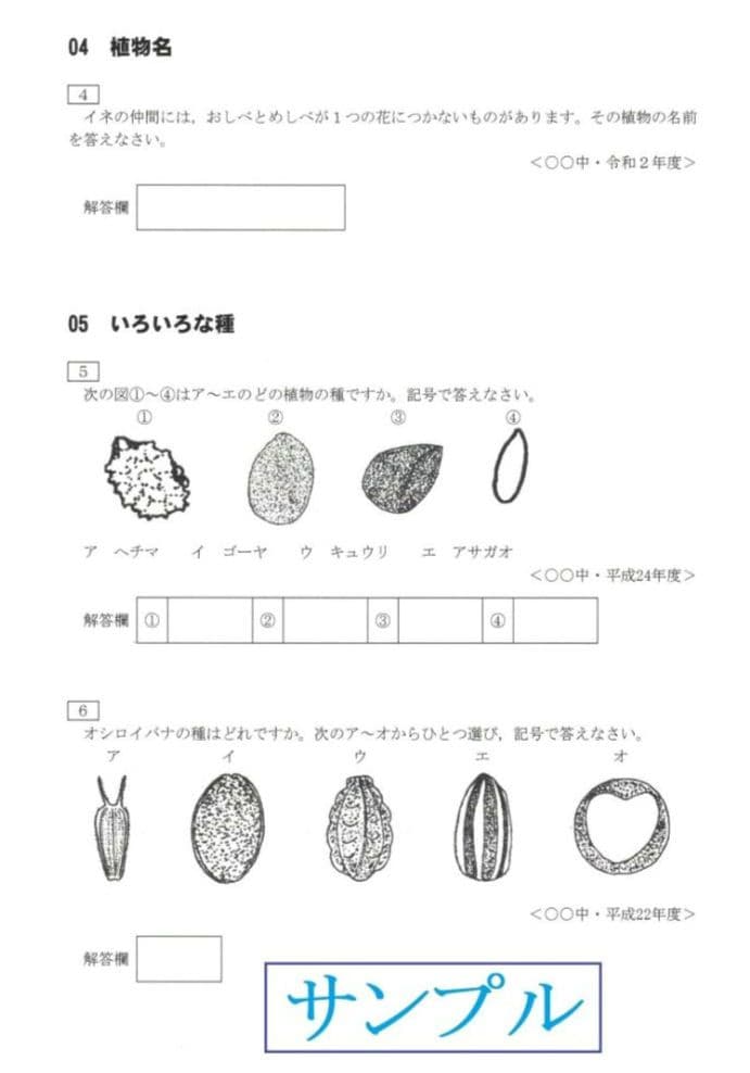 きよろろ（その１）