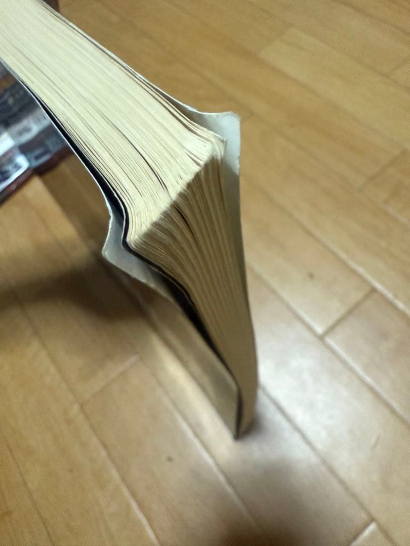 PANTERA スコア