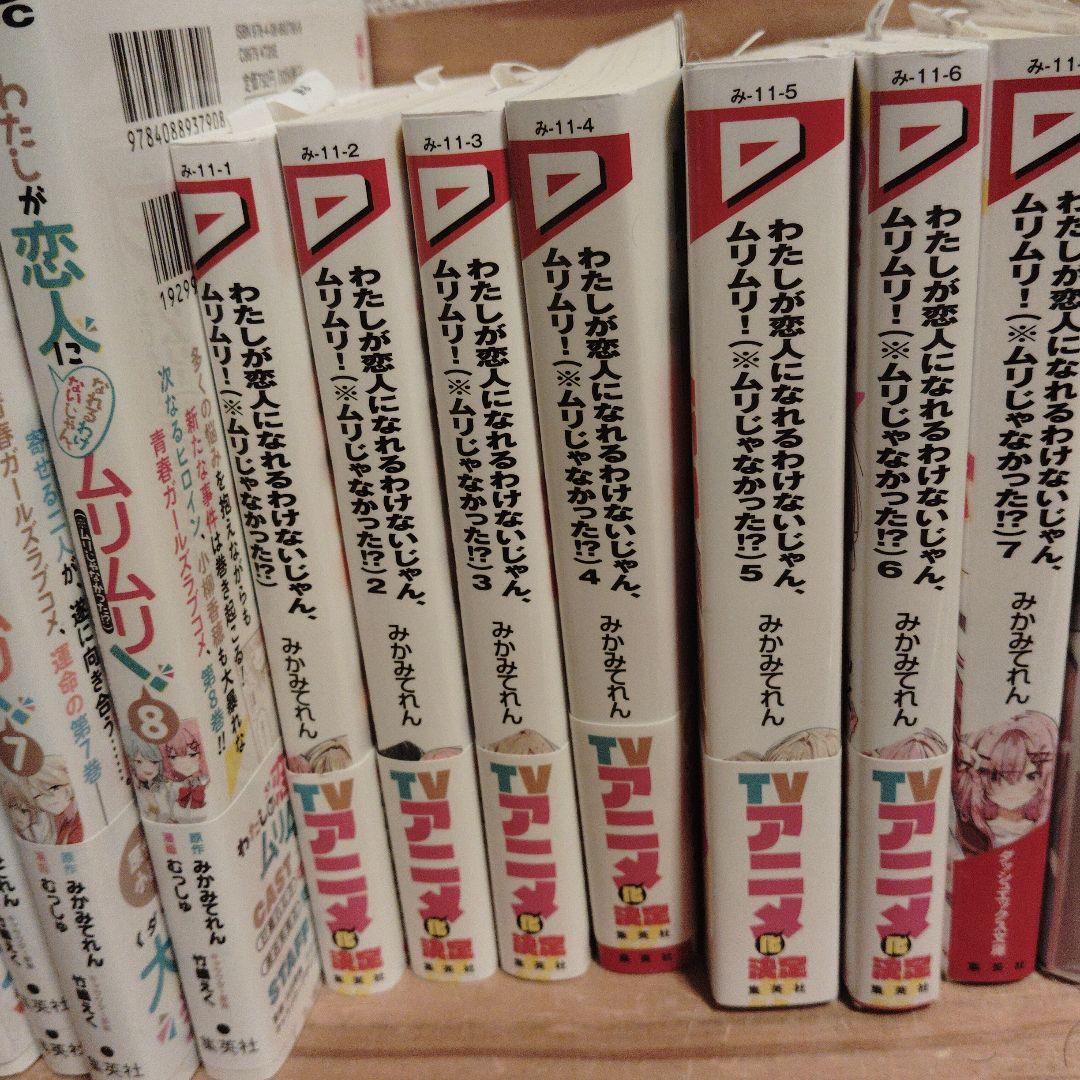 わたしが恋人になれるわけないじゃん、ムリムリ！漫画小説セット