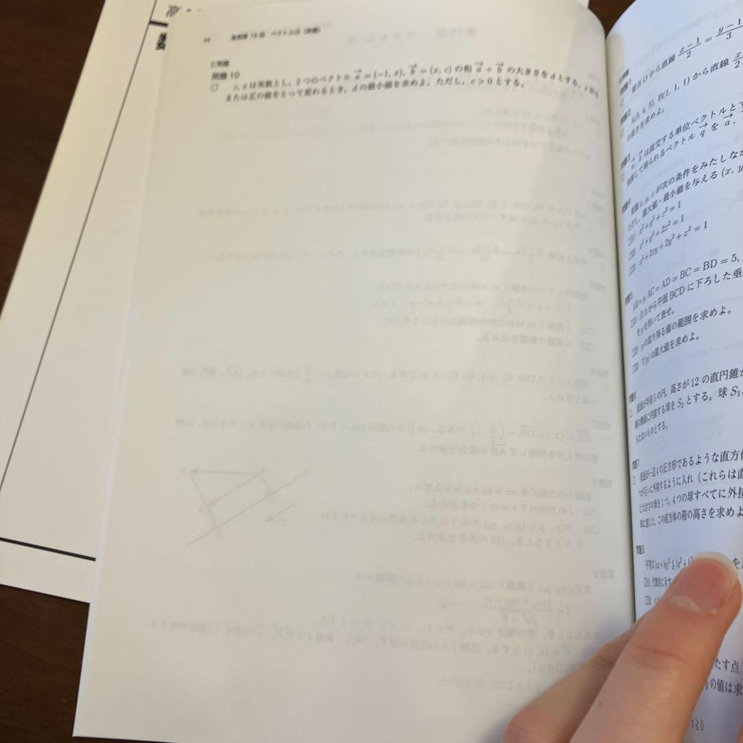 み*ん様 鉄緑会 数学発展講座Ⅱ 数学発展講座Ⅱ 問題集 解説冊子集