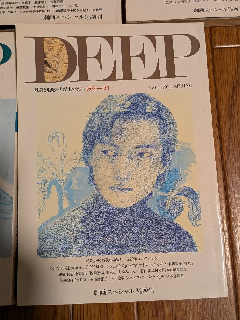 ミリオン出版　　DEEP　5冊セット　耽美と頽廃の世紀末マガジン