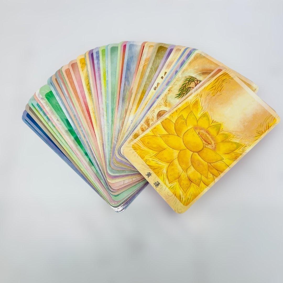 付属品完品　 観音カード 金姫