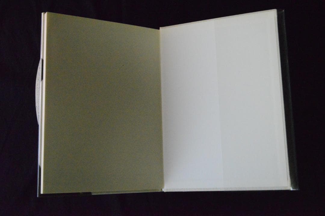 【CROSS SECTION】Patti Smith　新品未読品　2003年初版
