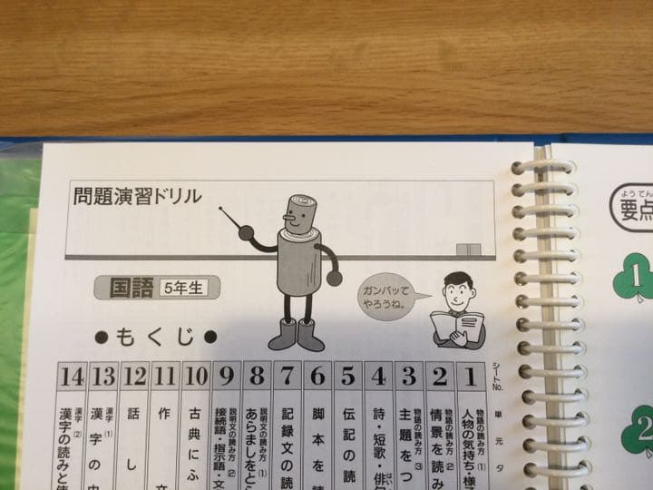 小５国語　塾なし　クロスカリキュラム　教材　右脳教育