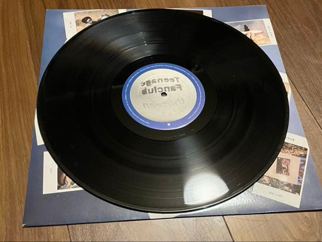 Teenage Fanclub \"Thirteen\" UK盤　レコード