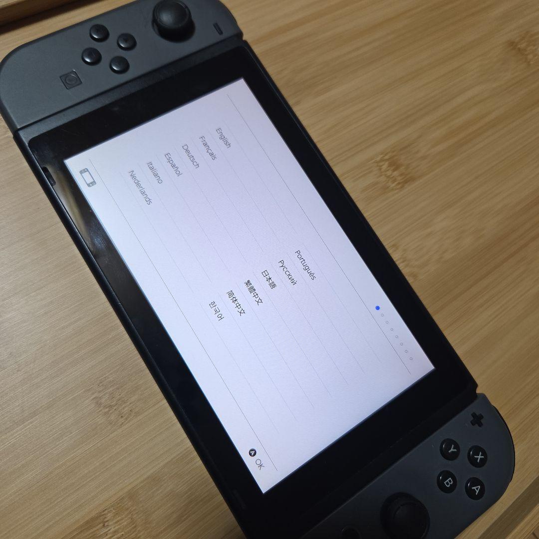 Nintendo Switch 本体 グレー ※プロコン・ストラップ付き