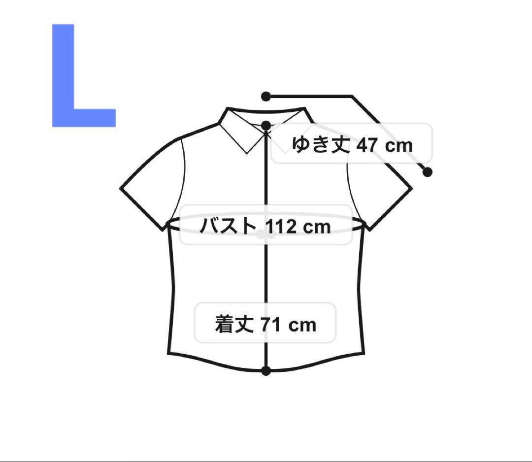 新品★Paul Stuart 鹿の子カッタウェイポロシャツ L ブルー