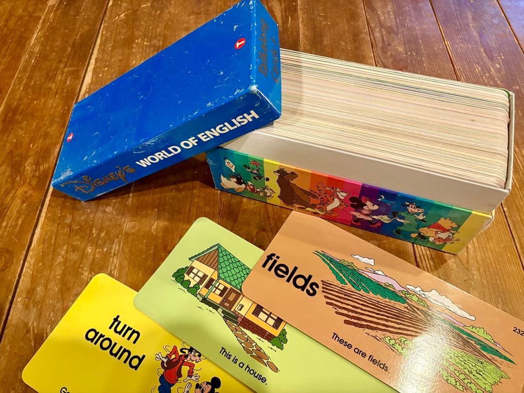 ★お値下げ★ディズニー Disneyワールドファミリー英語教材セット