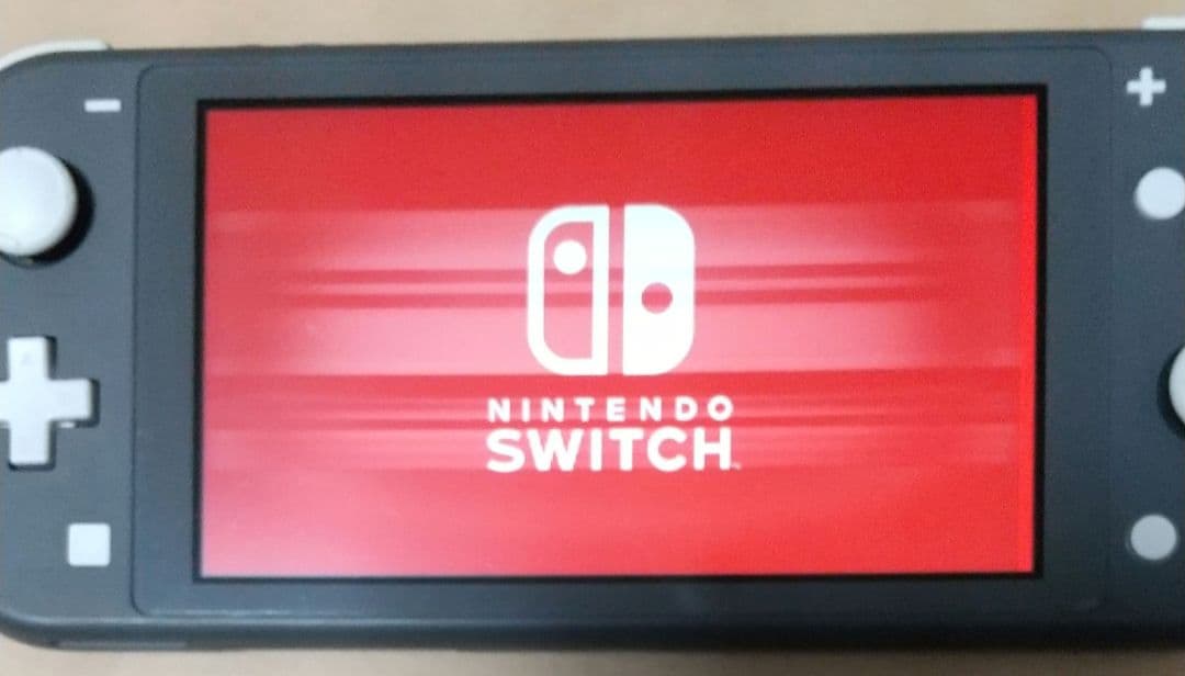 ジャンク 縦線 横線 有り Nintendo Switch Lite 本体