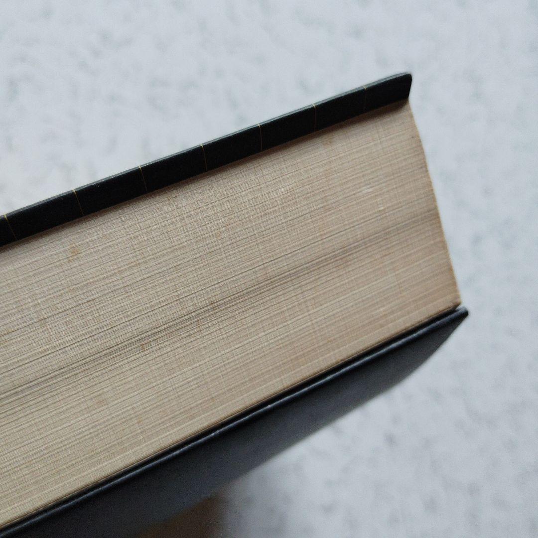 難問題の系統とその解き方 数学I　写像　ベクトル　集合　論証　確率　整数　図形