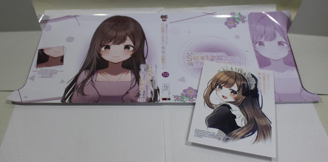 痴漢されそうになっているＳ級美少女を助けたら隣の席の幼馴染だった　全巻　特典付