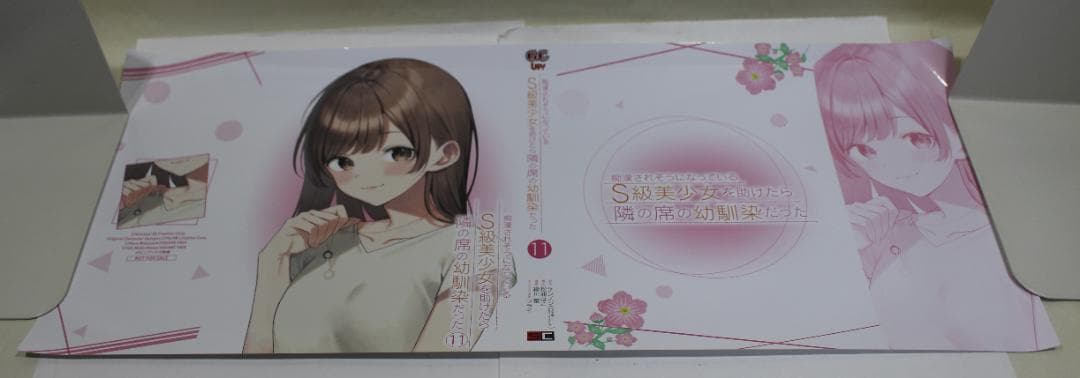 痴漢されそうになっているＳ級美少女を助けたら隣の席の幼馴染だった　全巻　特典付